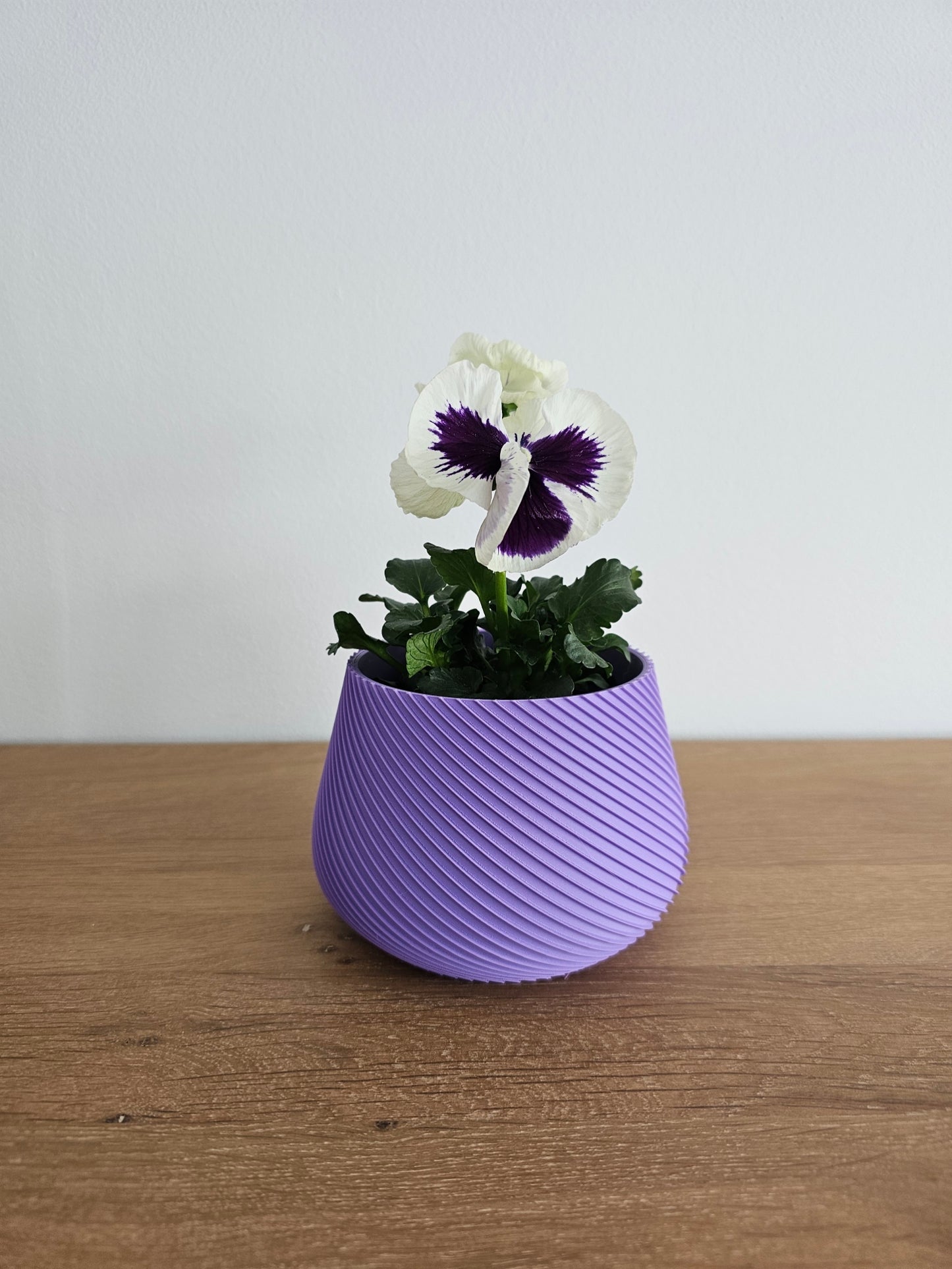 COGITA plant pot